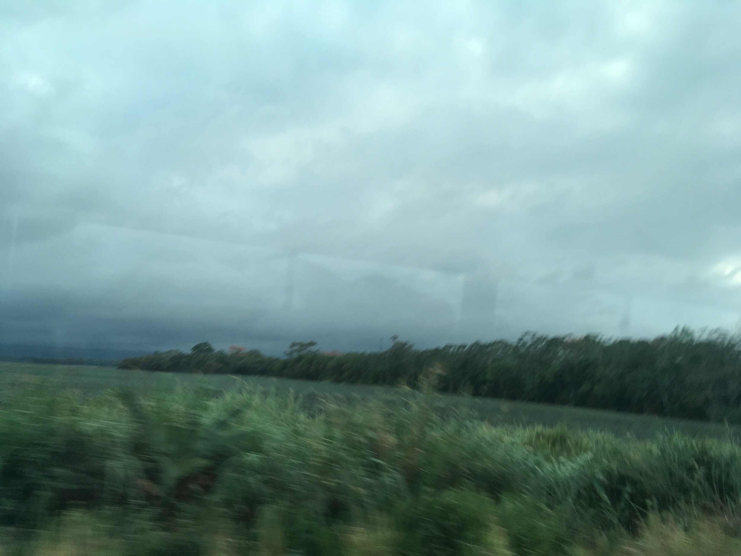 IMG_2915.jpeg