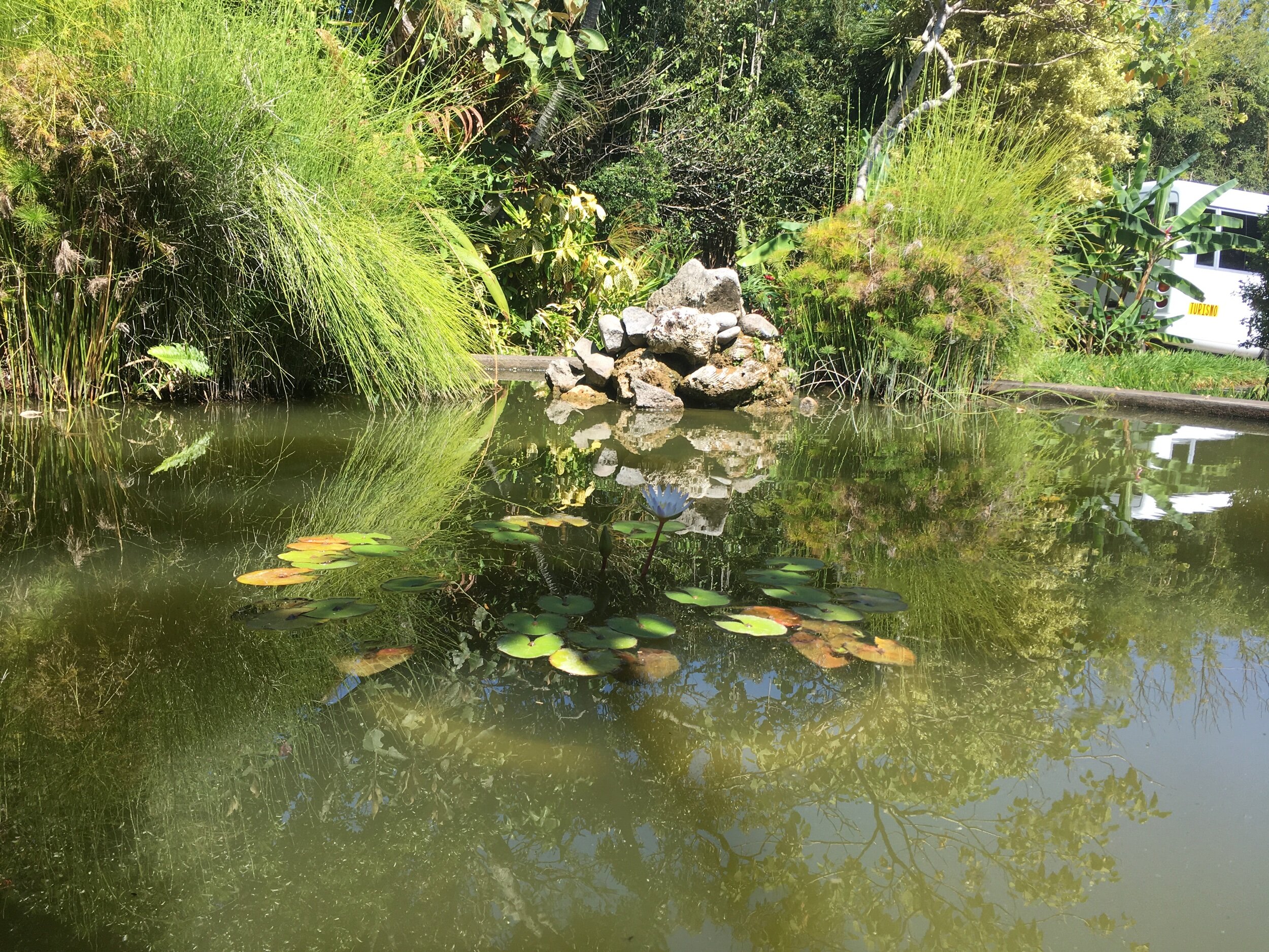IMG_2883.jpeg