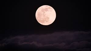 Full Pink Moon Soundbath Ceremony