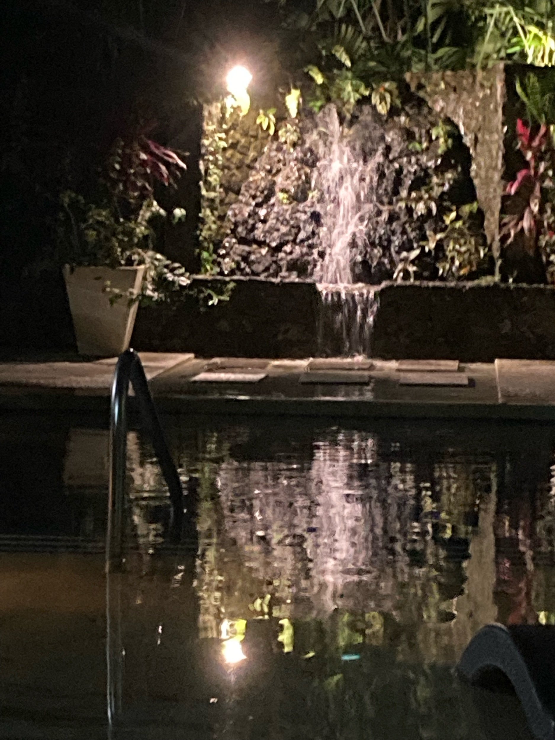 IMG_7958.jpeg