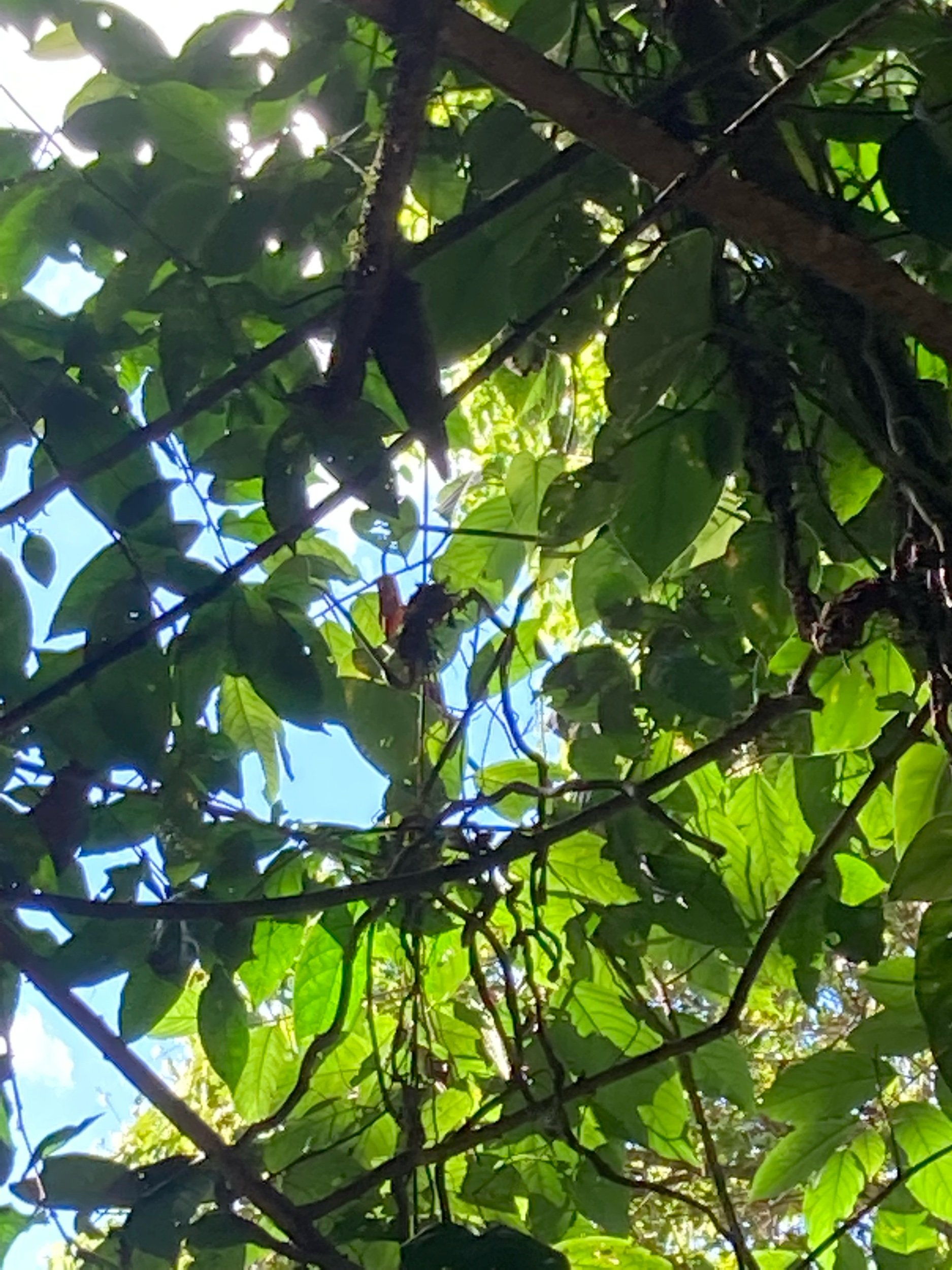 IMG_7945.jpeg