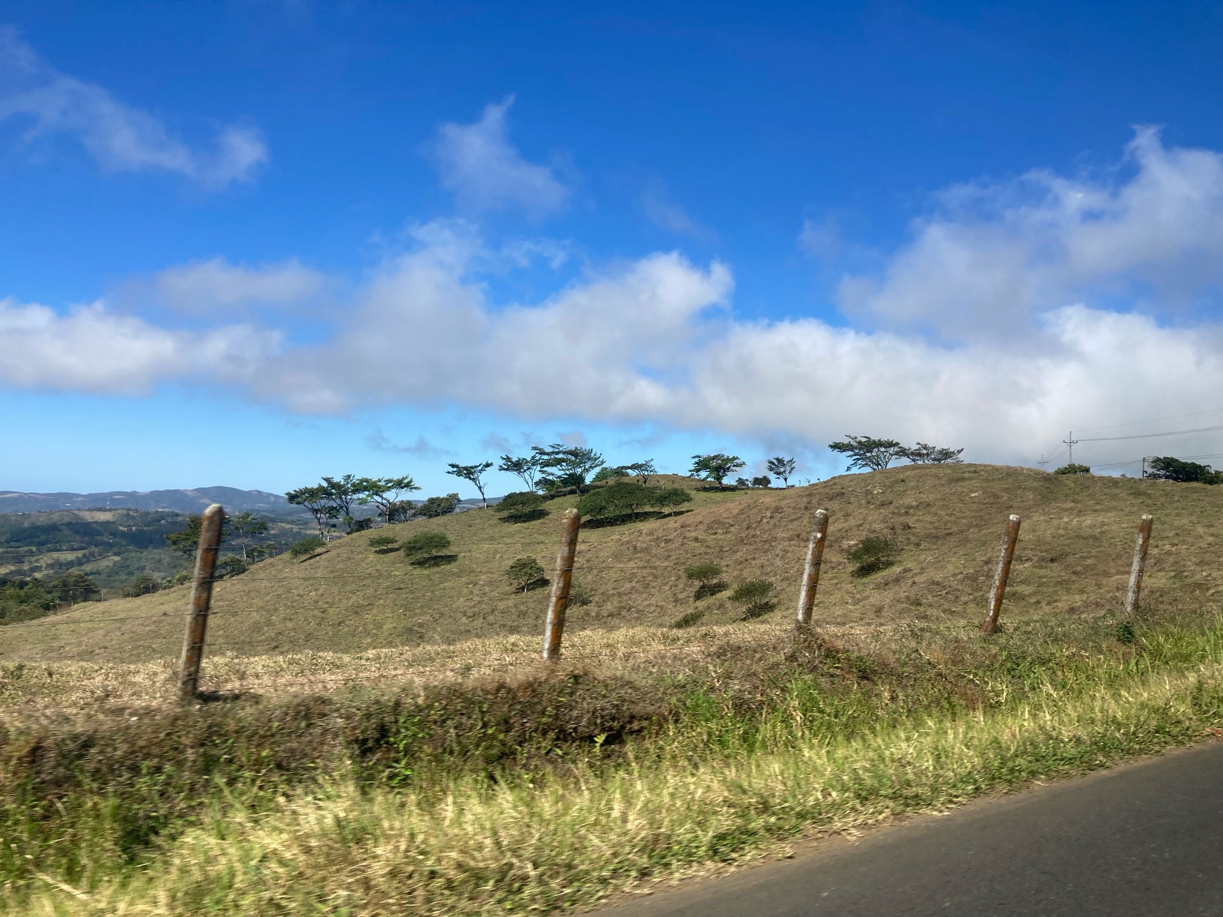 IMG_7909.jpeg