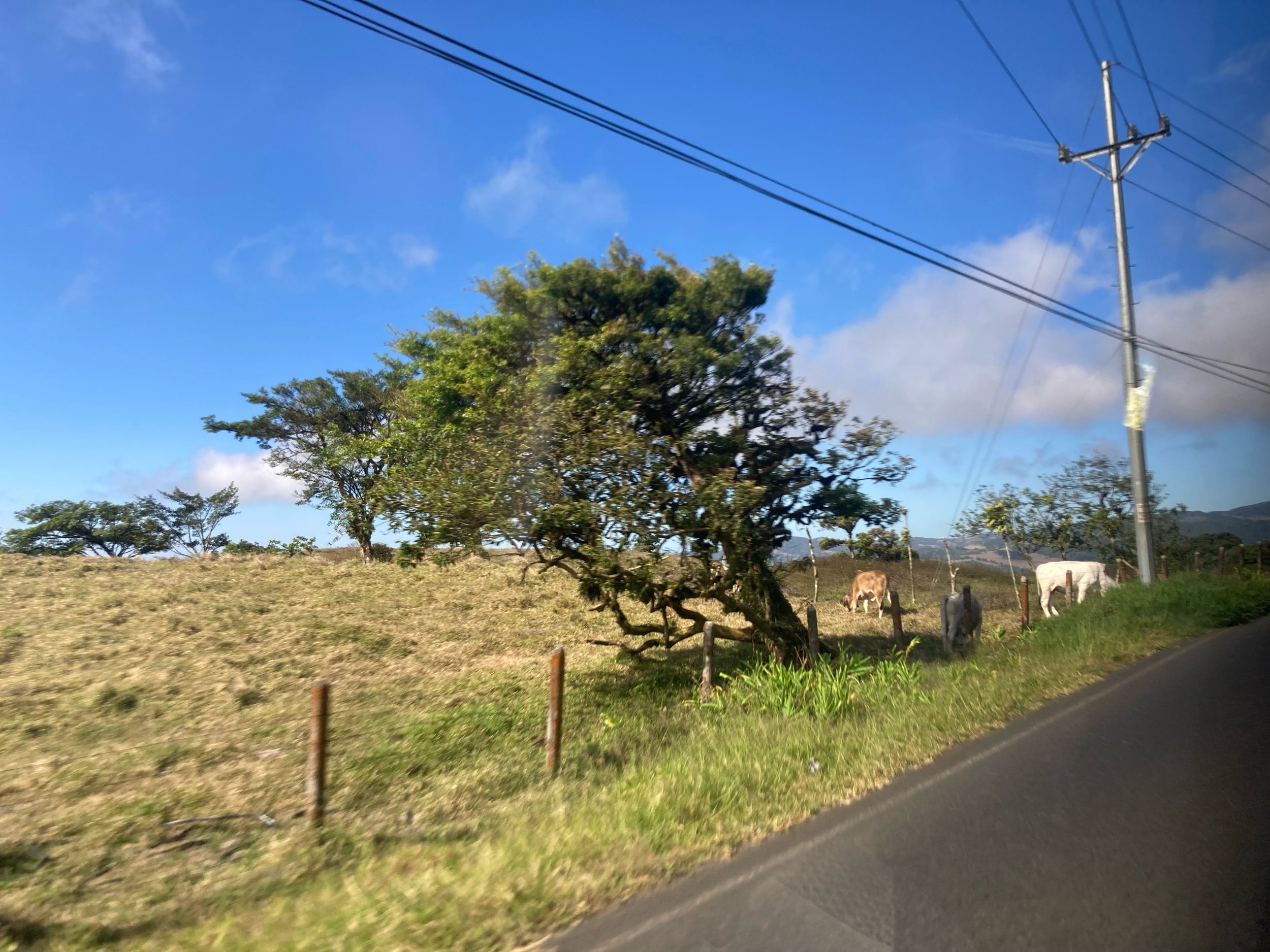 IMG_7912.jpeg