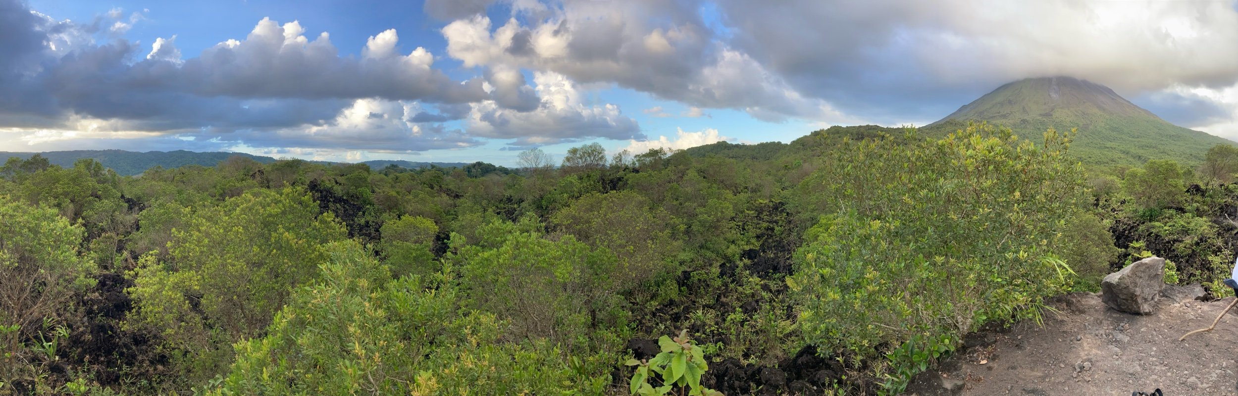 IMG_8050.jpeg
