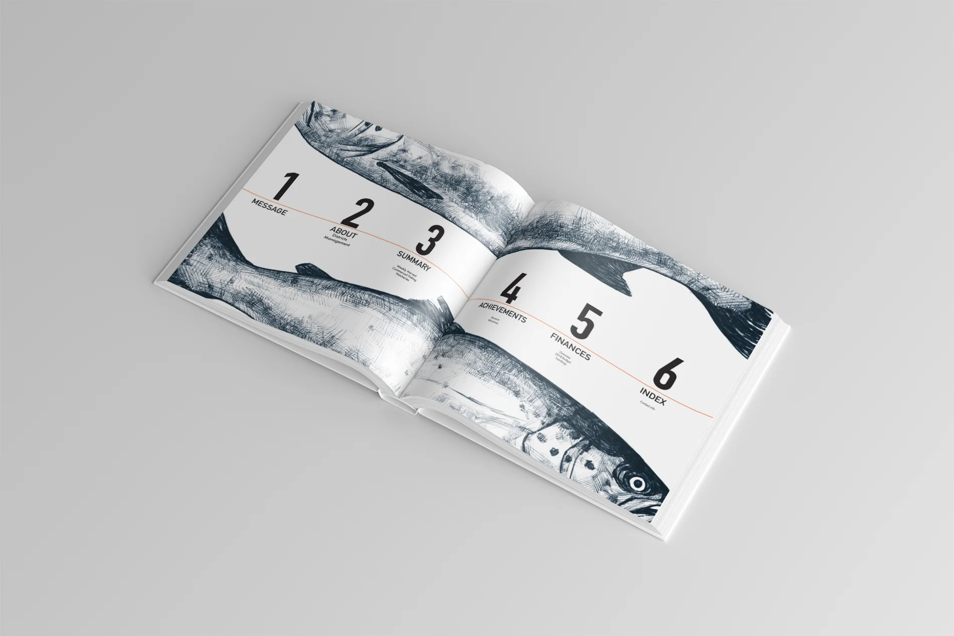 Sophie Young (IDEA21)