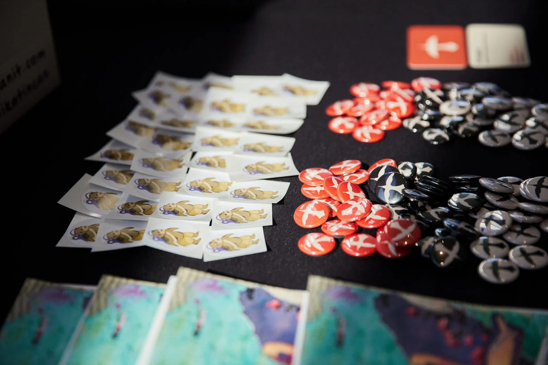 capilano-university-idea-school-of-design-2025-bachelor-of-design-visual-communication-grad-show-vancouver-playhouse-exhibition-of-student-work-05.jpg