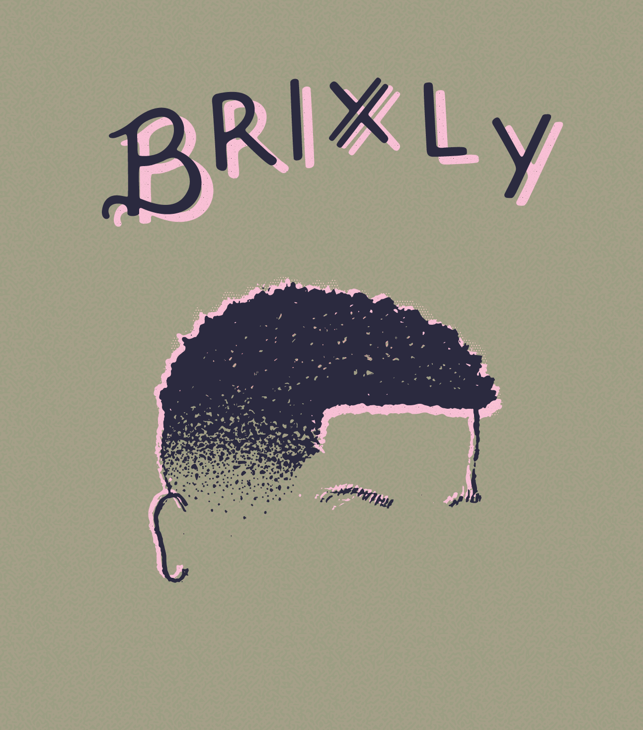brixly_nic.png
