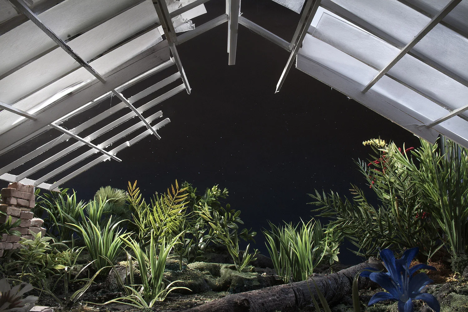 Greenhouse.jpg