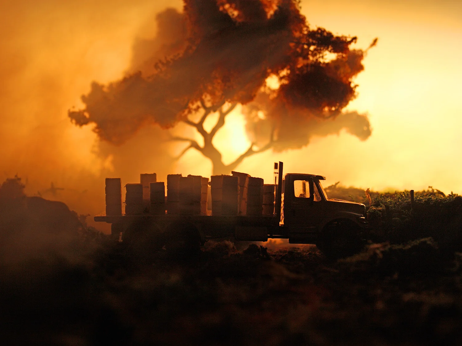 Beetruck.jpg