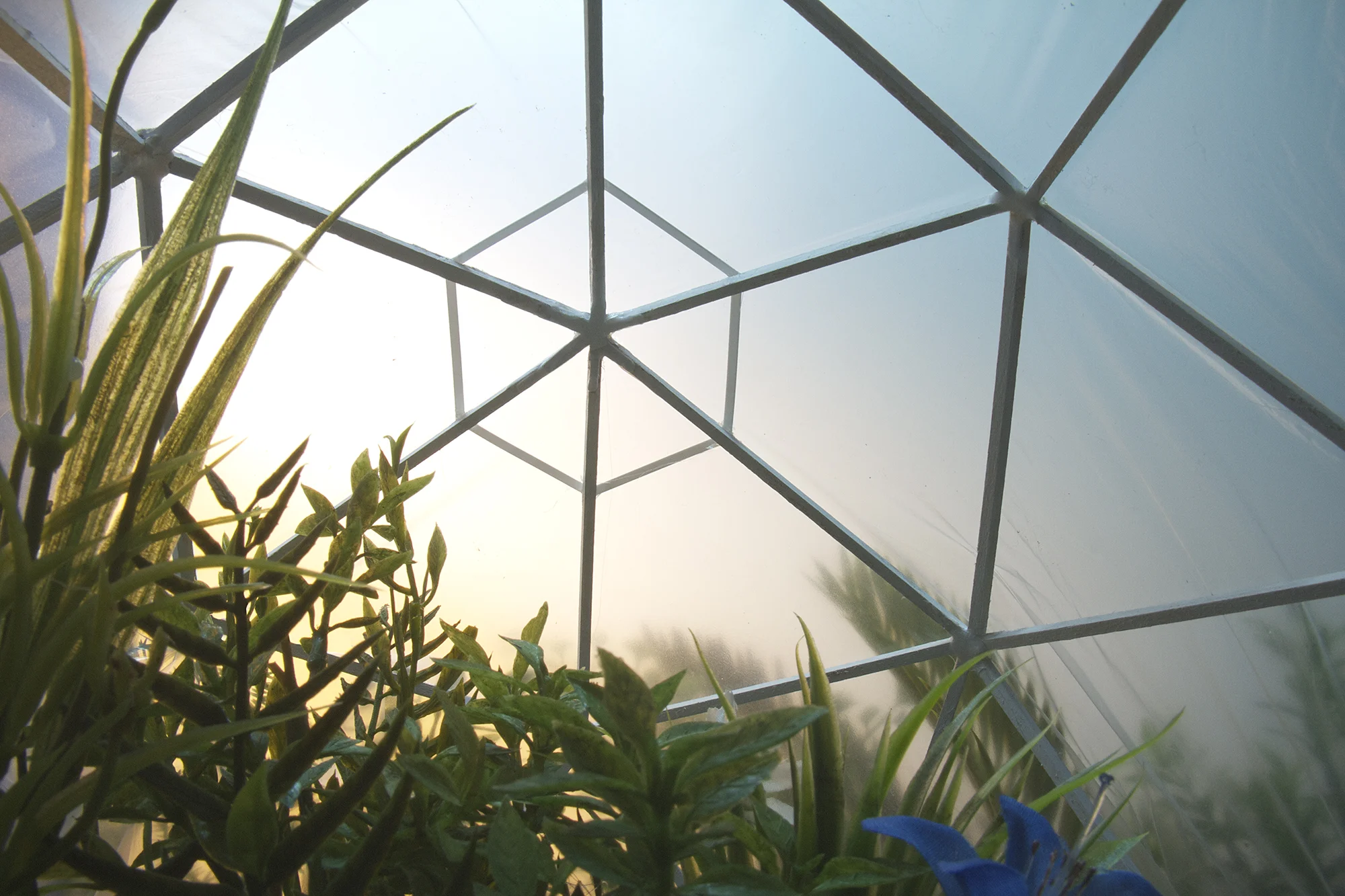 Geodesic Interior (framed)