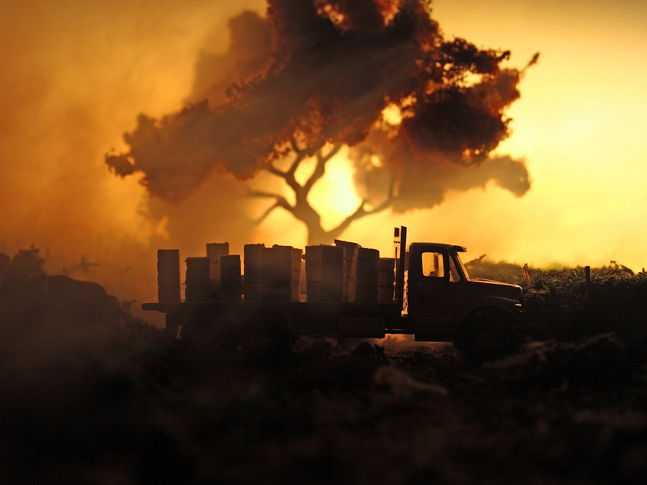 32_Beetruck.jpg