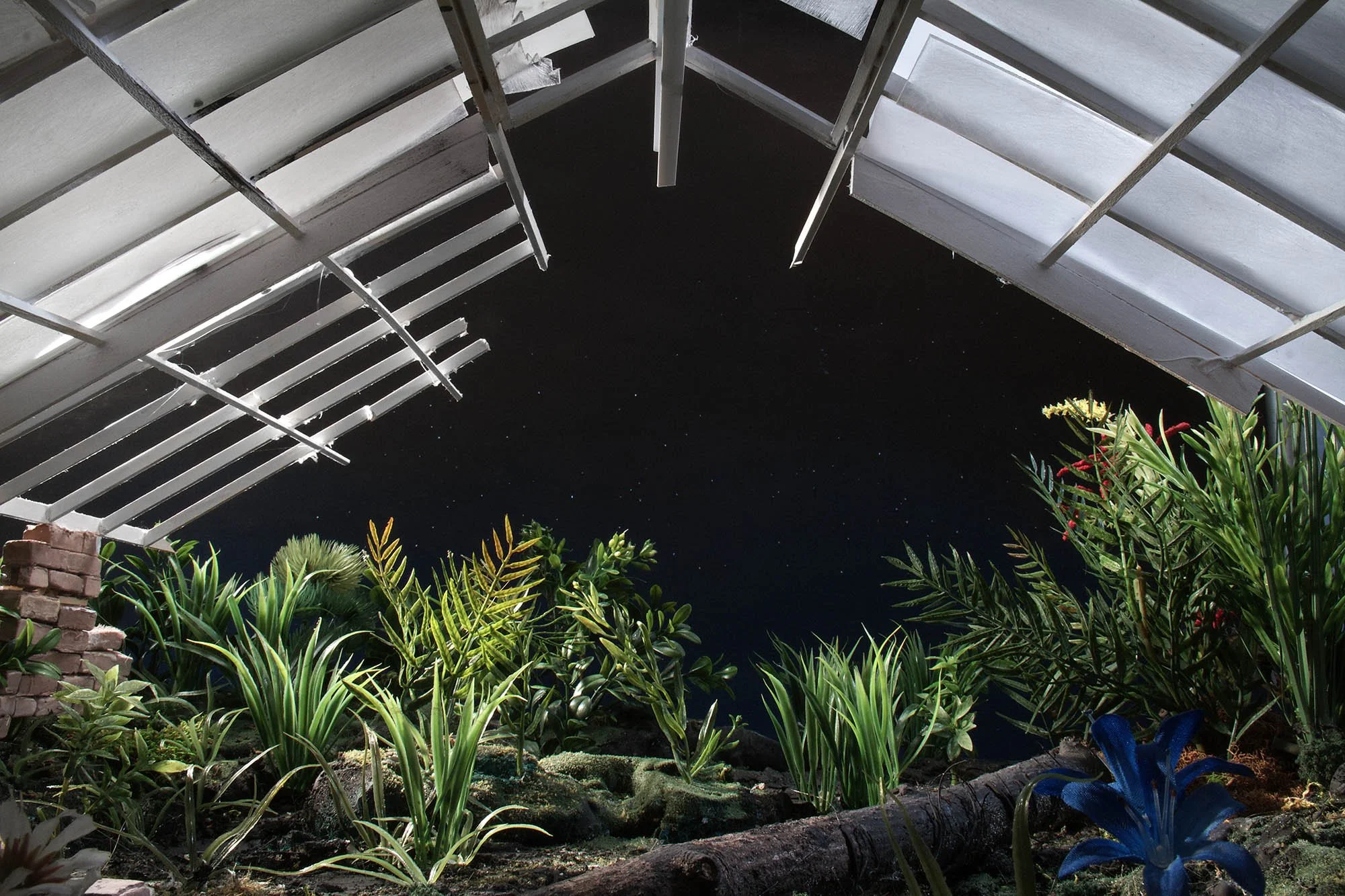 36_x1_AGM_Greenhouse_2575.jpg