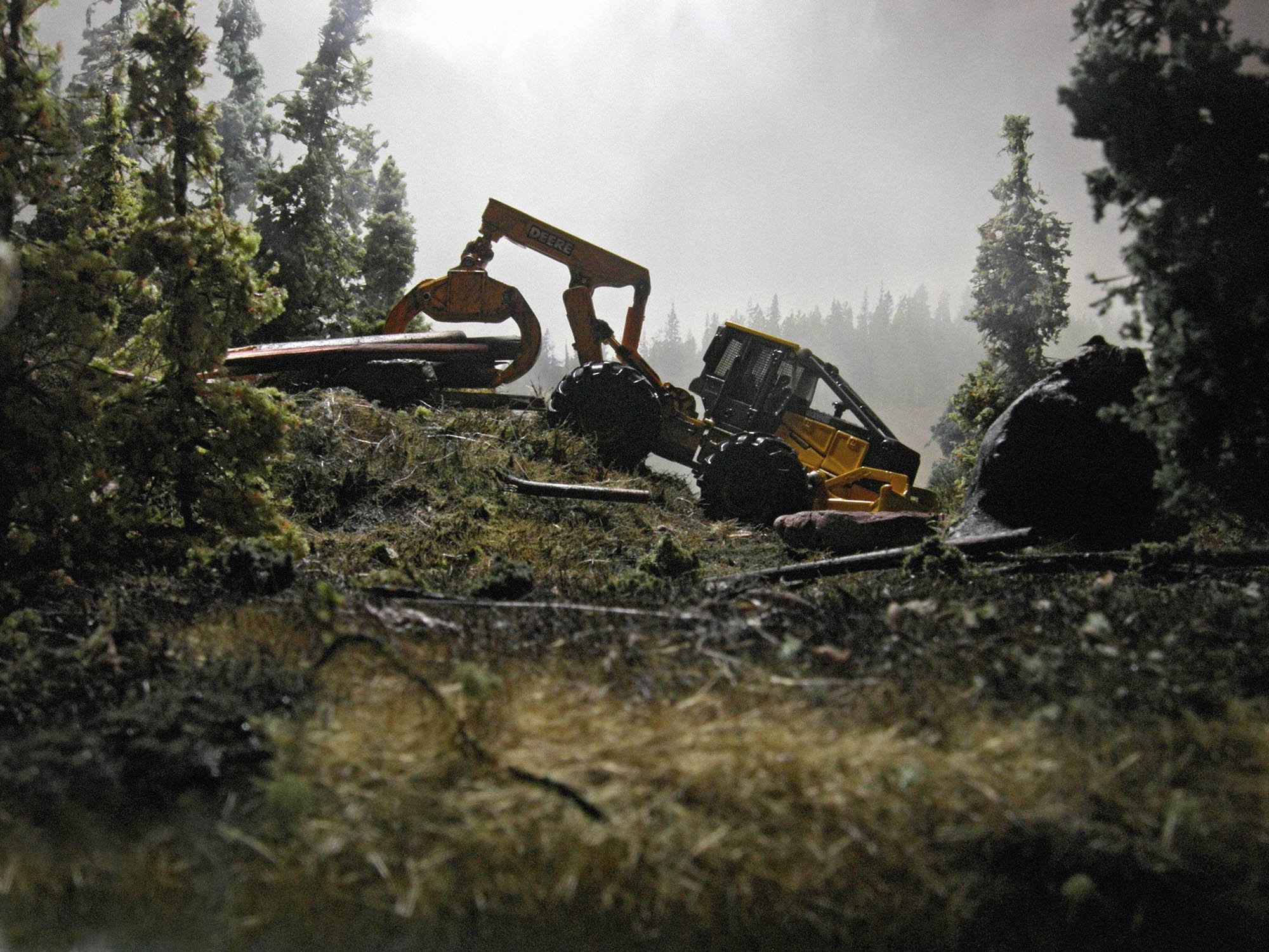 37_Skidder_x1_AGM_b.jpg