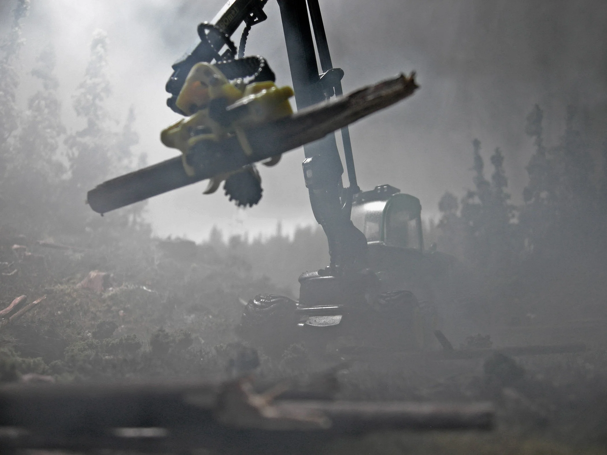 40_TeradactylLogging.jpg