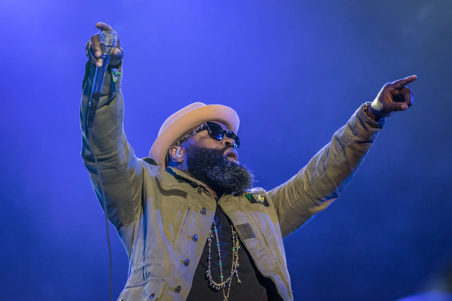 The Roots.jpg