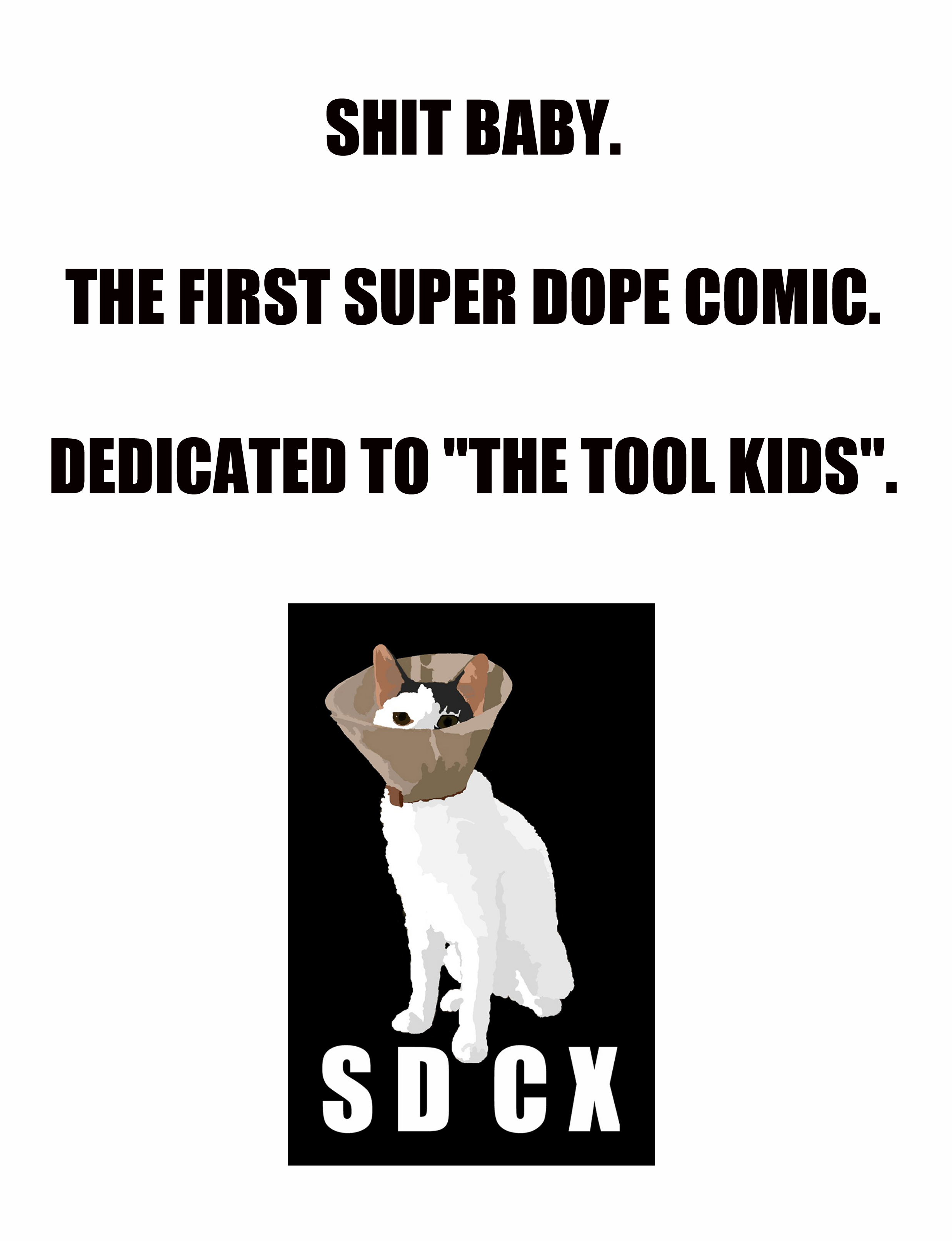 Back Cover.jpg