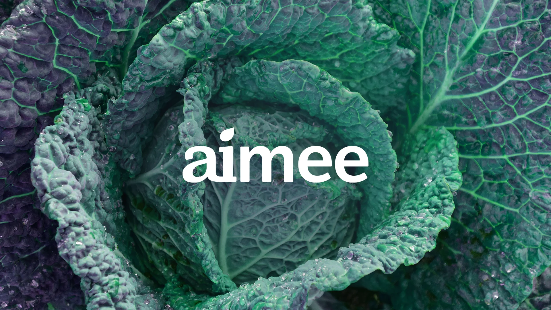 meeshworks-aimee-casestudy-1.jpg