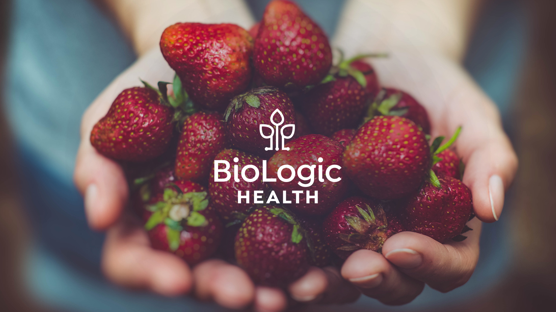 meeshworks-biologic-casestudy-1.jpg