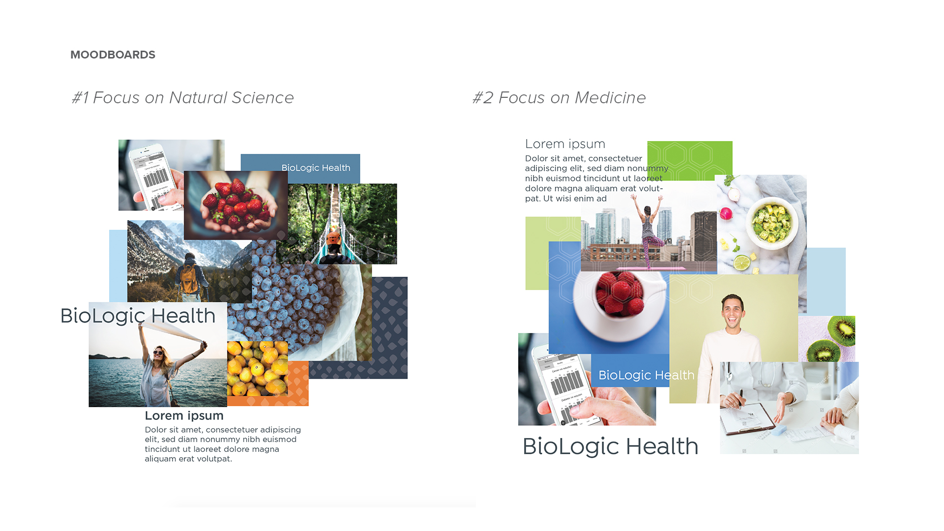 meeshworks-biologic-casestudy-5.jpg