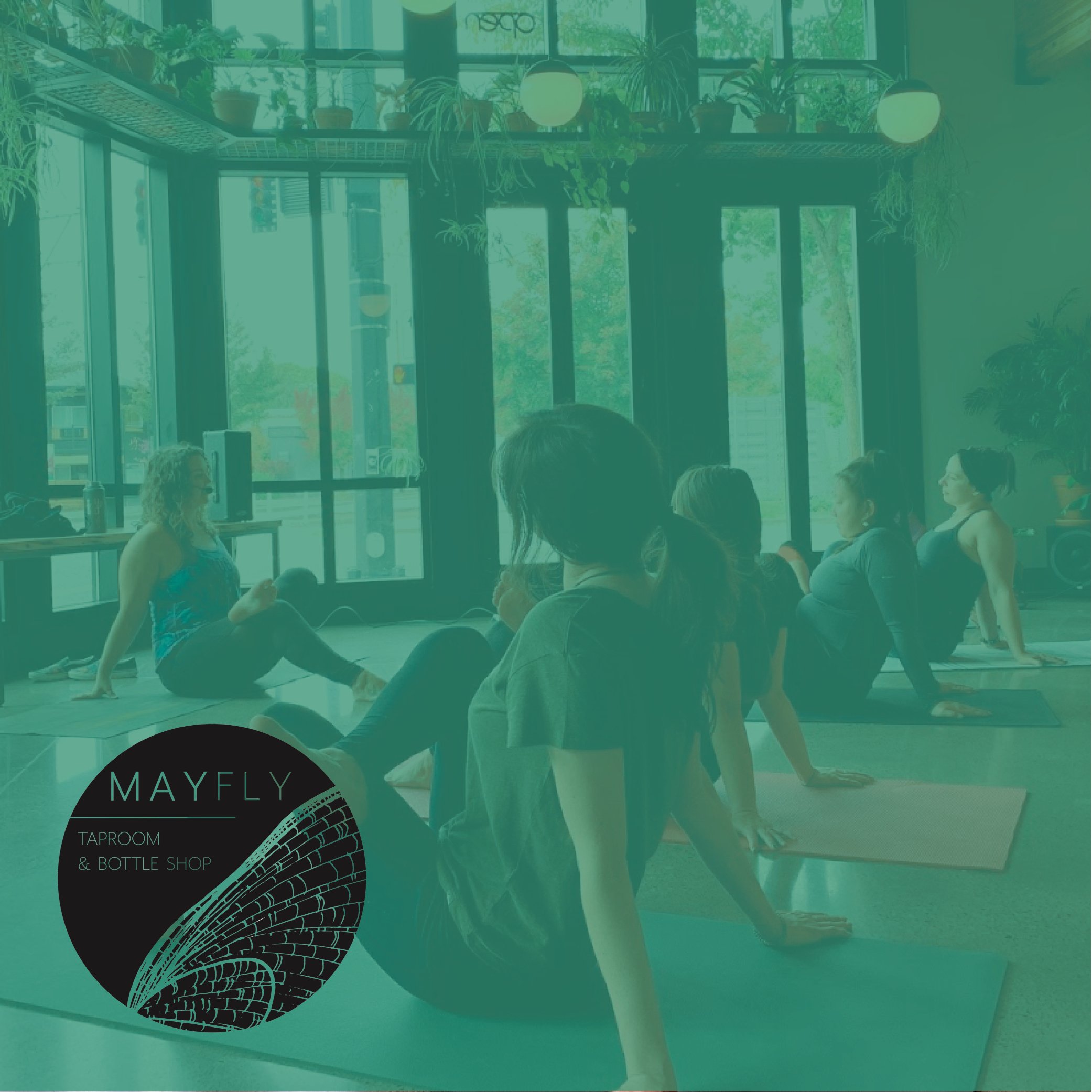 Yoga + Beer at Mayfly Taproom