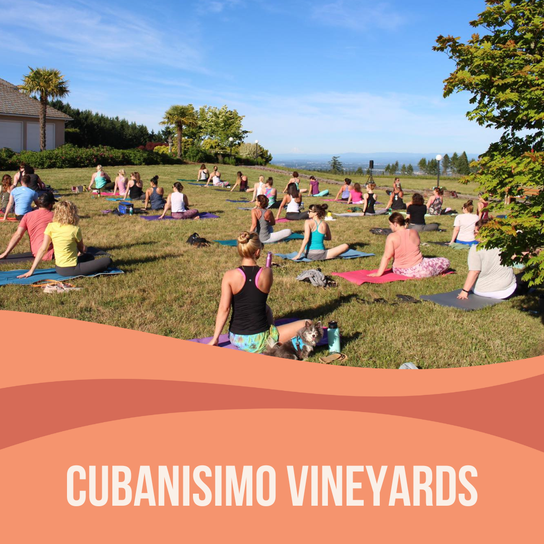 Yoga + Wine at Cubanisimo Vineyards