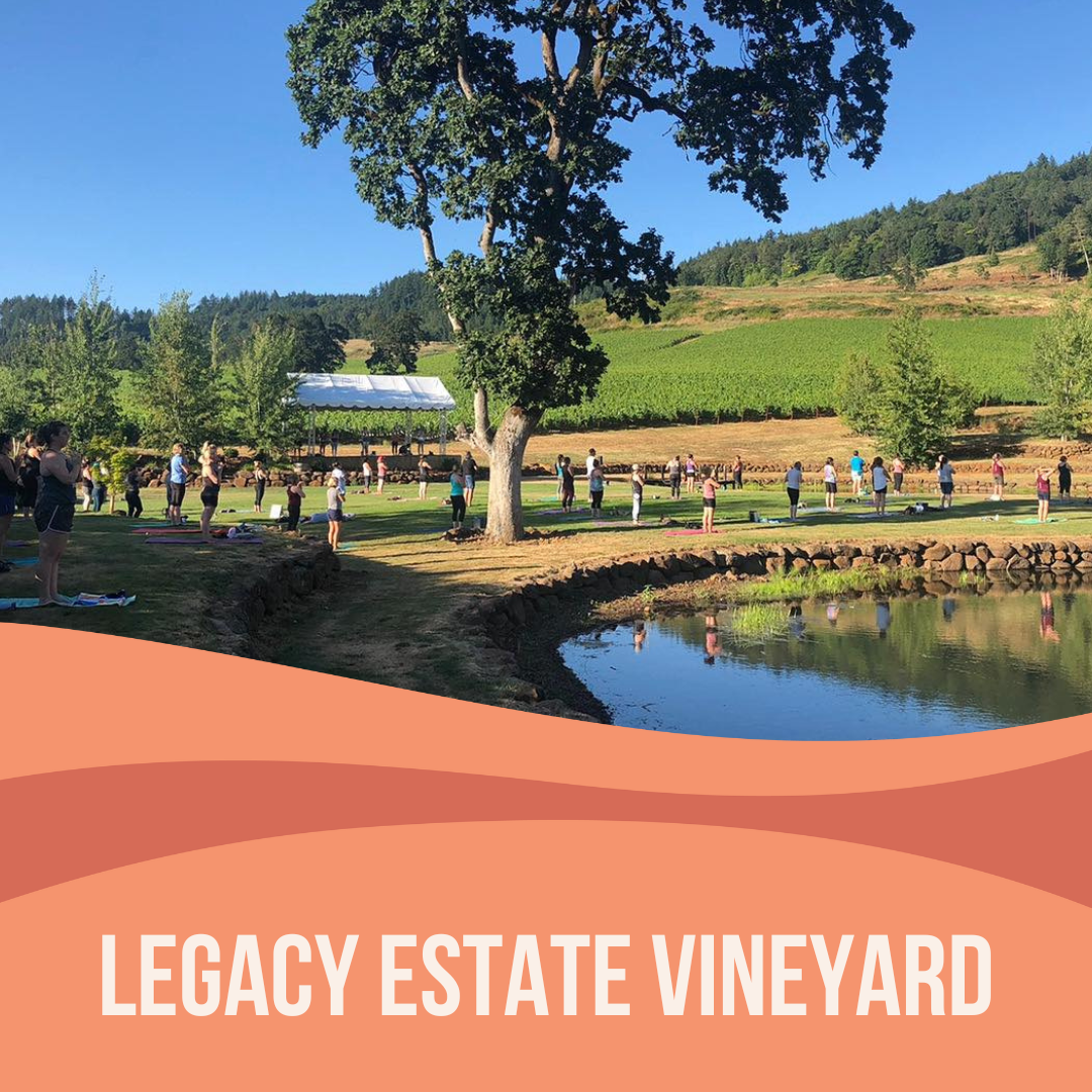 Yoga + Wine at Legacy Estate Vineyard