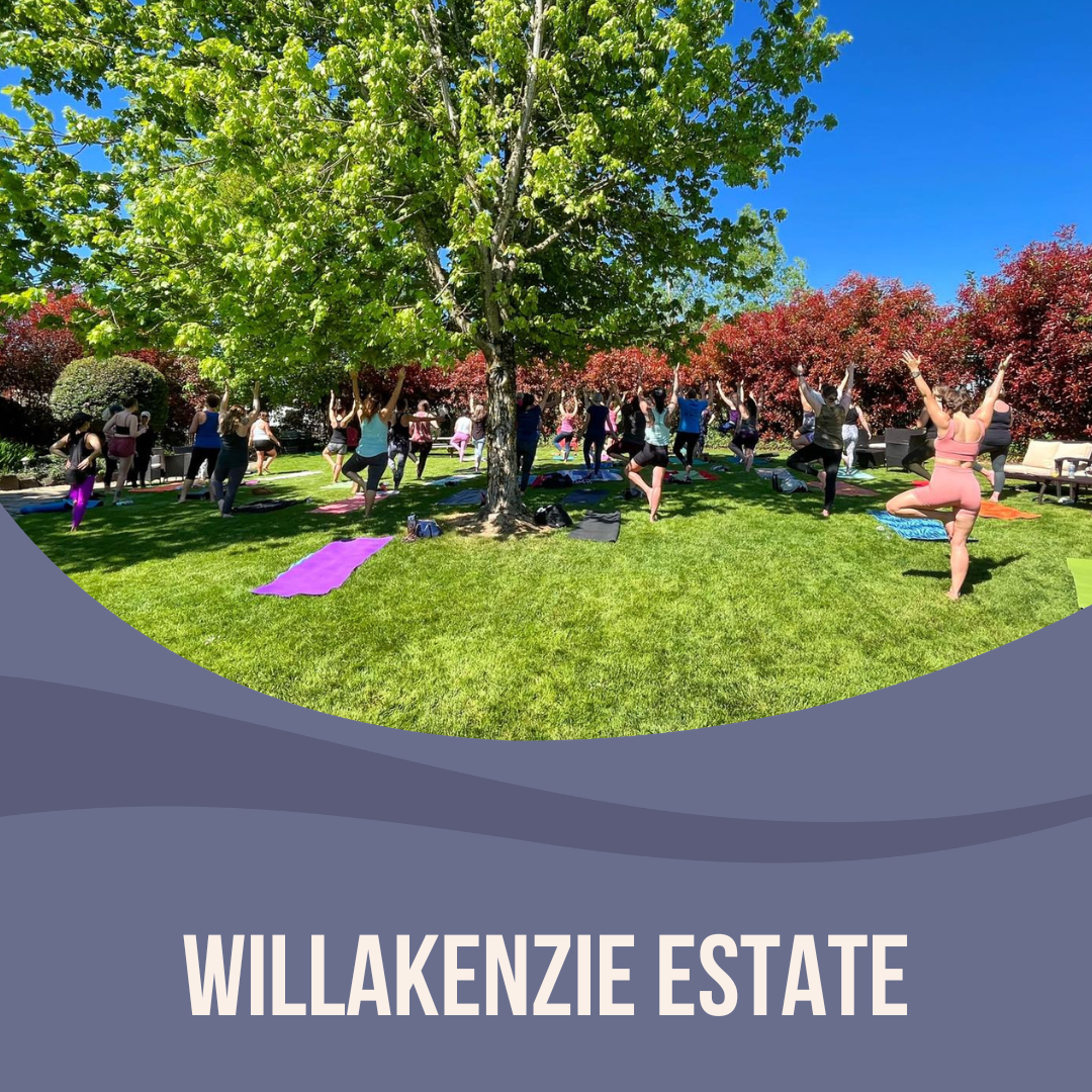 Yoga + Wine at WillaKenzie Estate