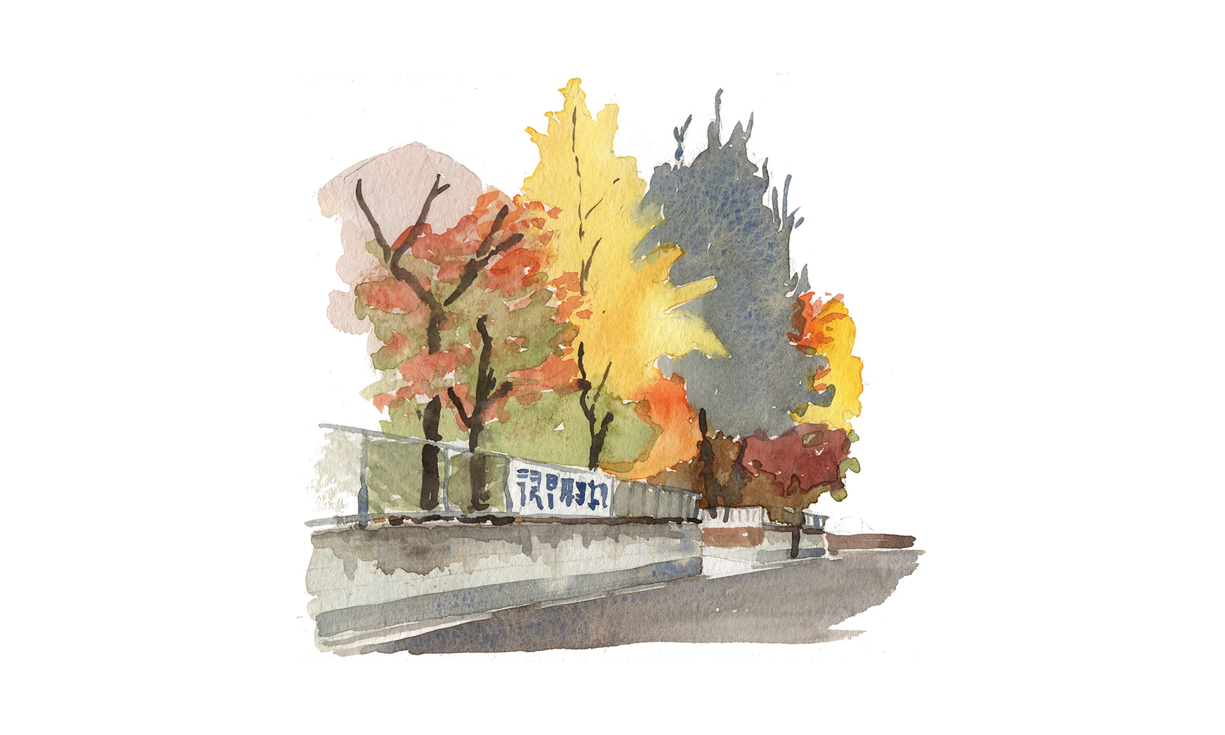 street trees.jpg