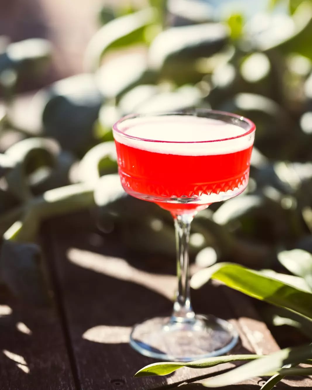 Meet The Rose, our signature cocktail and a true reflection of The Rose Hotel&rsquo;s charm&nbsp;🌹

Floral, refreshing, and just a little bit fancy!