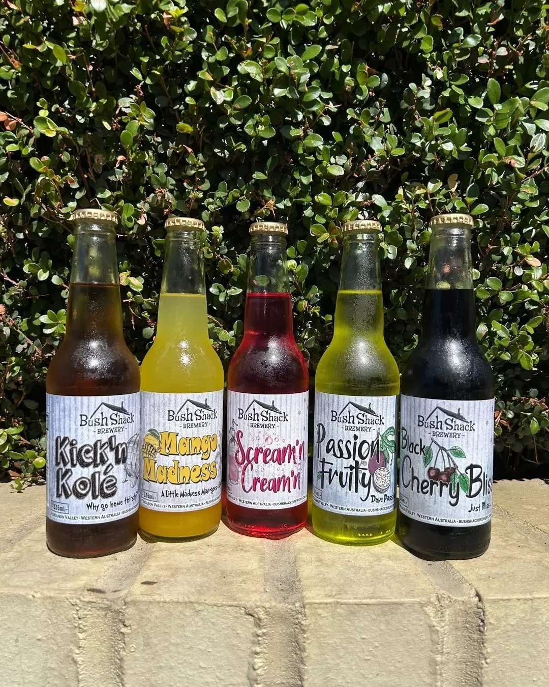 One of these has your name on it 👀

Five Bush Shack flavours, ready to go, which one are you grabbing first?