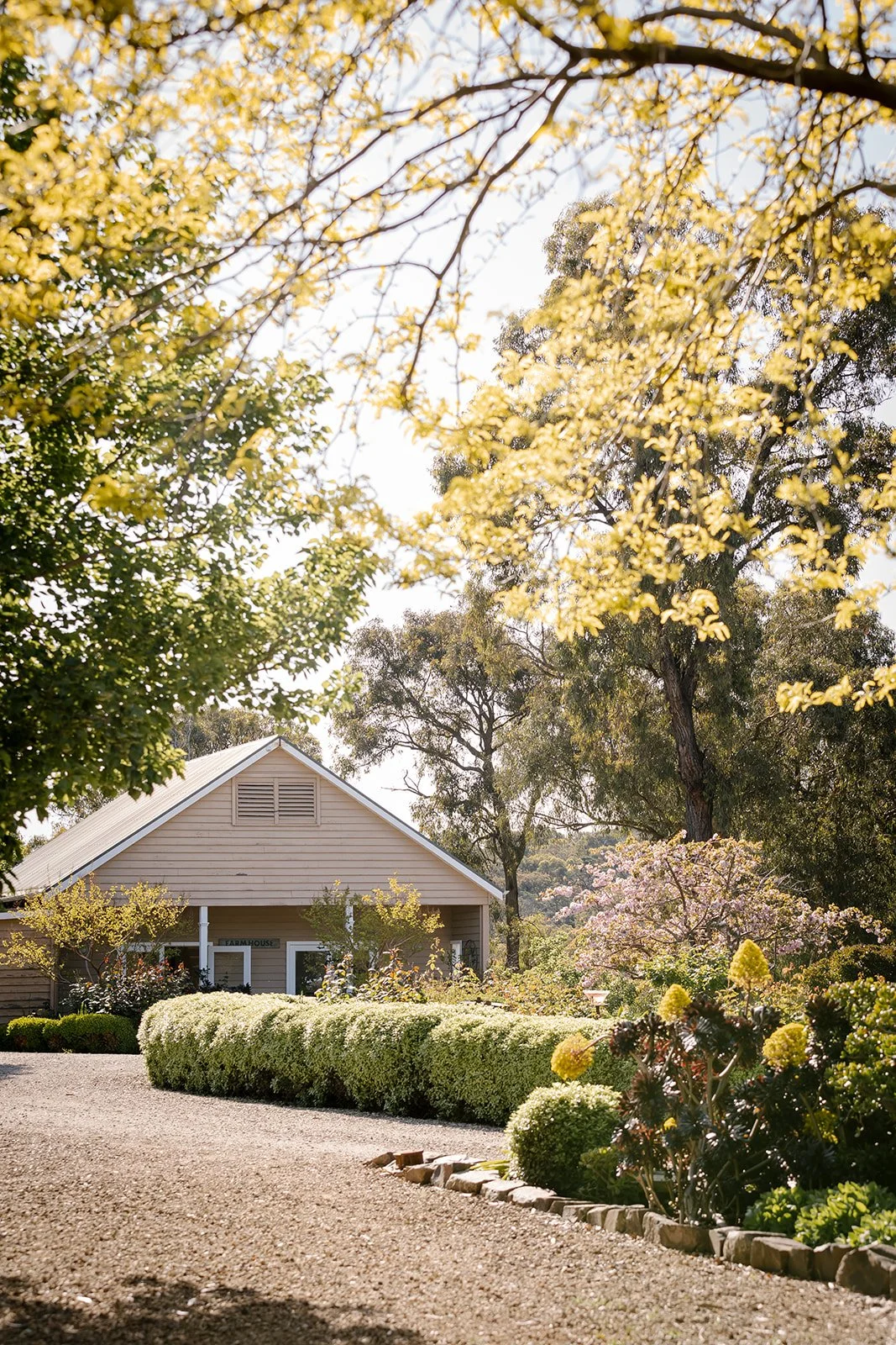 AshleyJames_Shoot4Oct22-66_websize (4).jpg