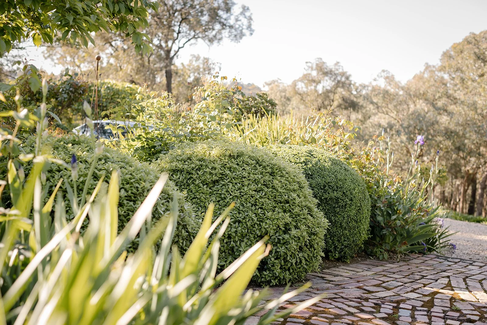 AshleyJames_Shoot4Oct22-71_websize (2).jpg