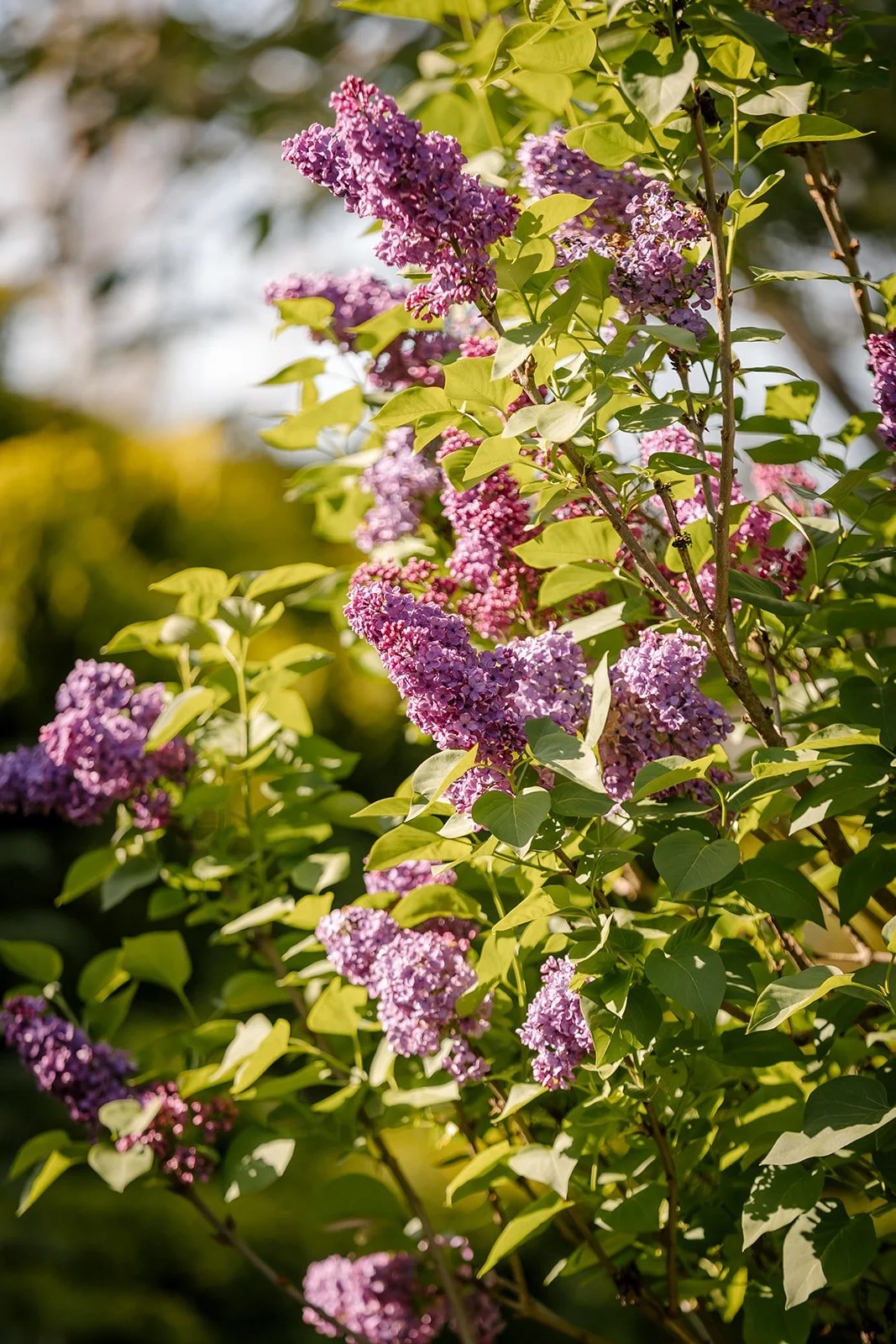 AshleyJames_Shoot4Oct22-51_websize (1).jpg