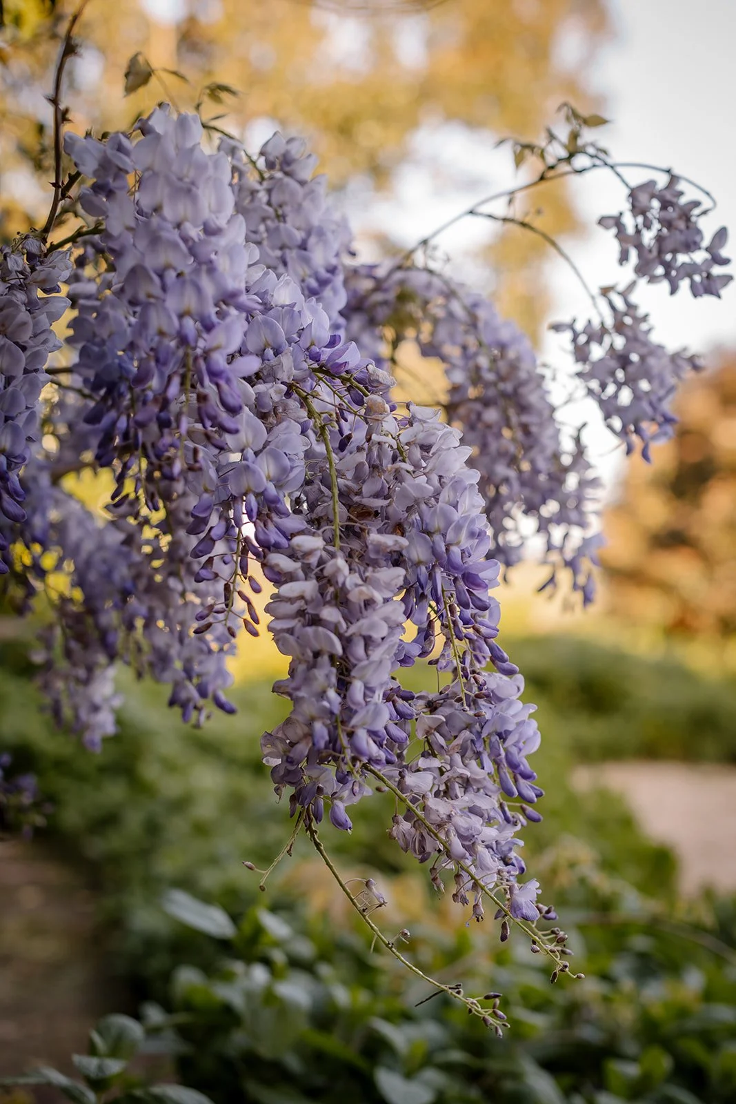 AshleyJames_Shoot4Oct22-101_websize (1).jpg