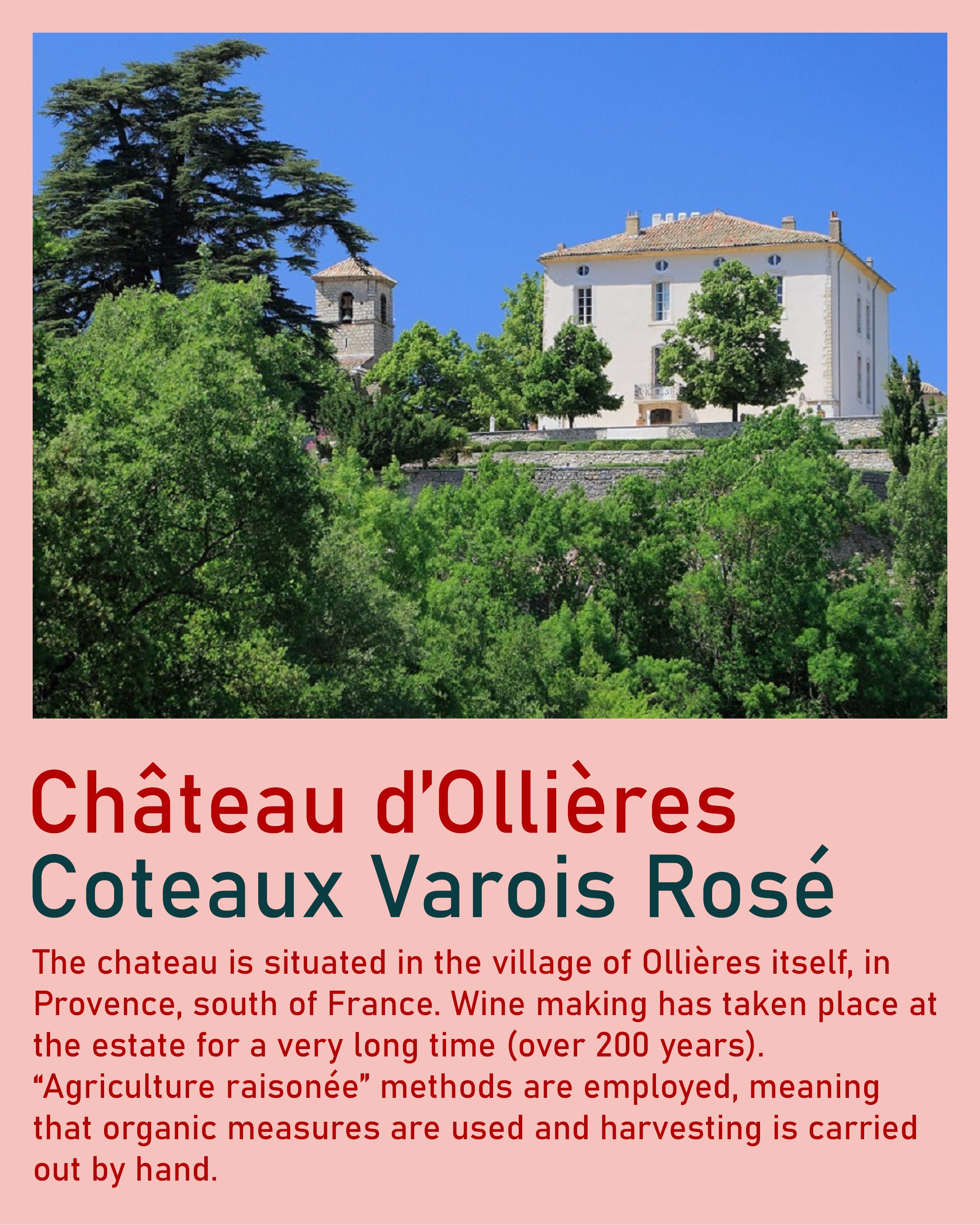D'Olieres Rose Infographic2.jpg