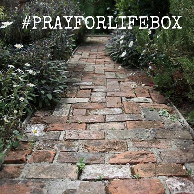 This week, please pray:

That there would be good housing for a resident due to move out the women's shelter this week.
That families would receive emotional support. 
That our coffee morning on the 22nd April would be a great success.