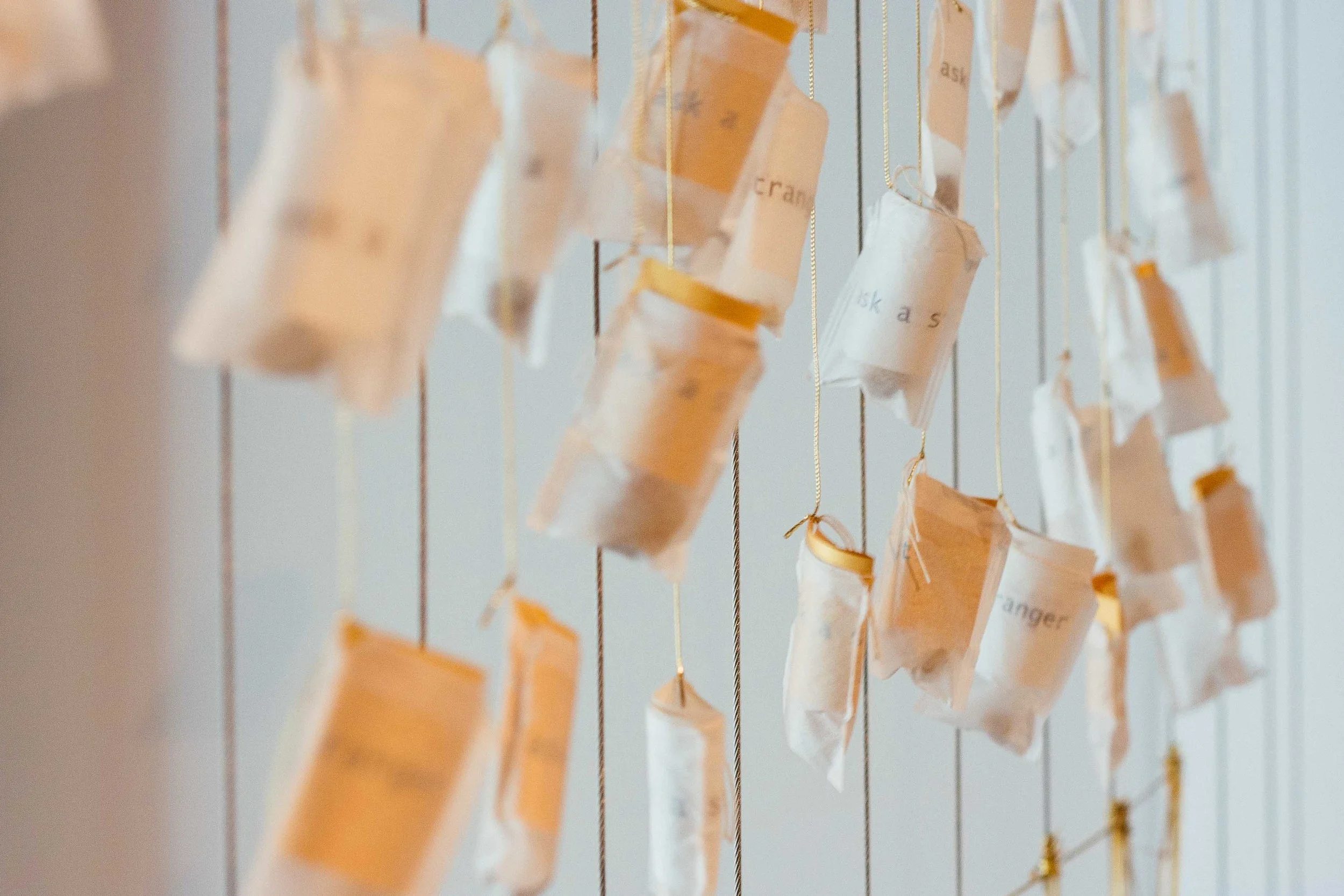 threeOclock is a visual arts program that works with emerging and established Australian artists to explore critical social and environmental issues. Through art and storytelling we turn semi-public spaces inside-out to create impactful social engagement.