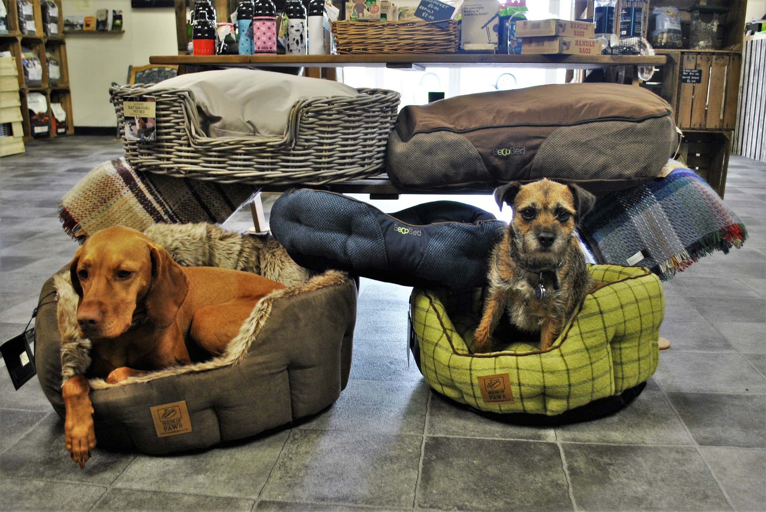 Dog beds for sale at Ginger&Browns pet shop in Northwich, Chester near Chester, Winsford, Frodsham. Shop in store or buy online.