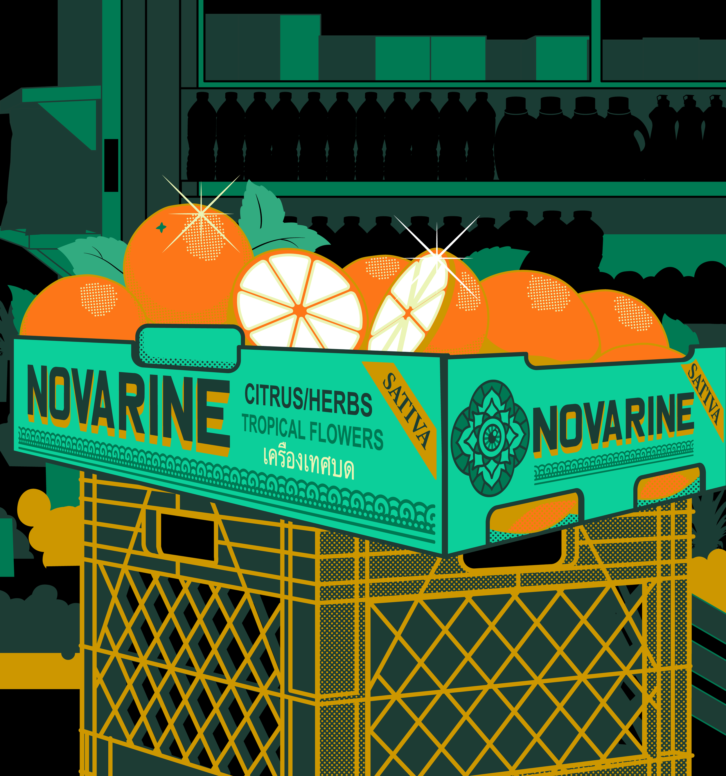 GR-VIZIE-NOVARINE-FINAL.png