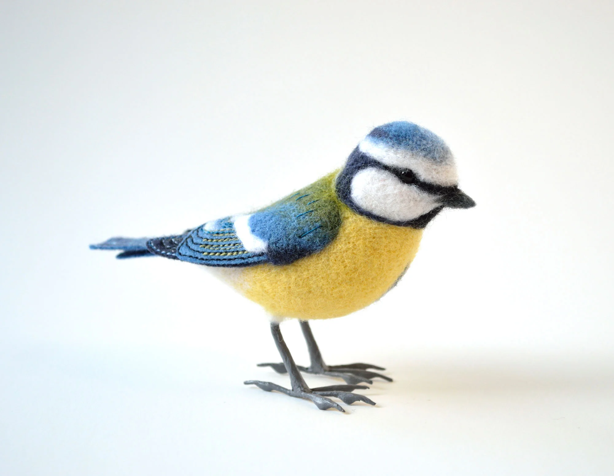Blue Tit