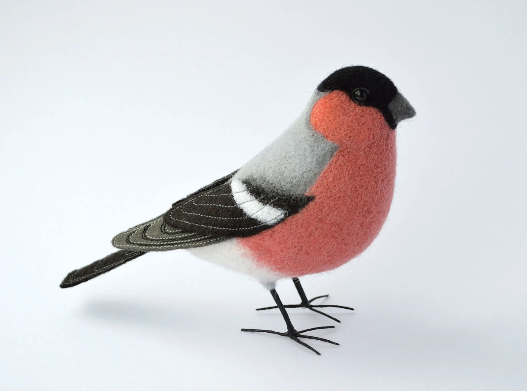 Bullfinch