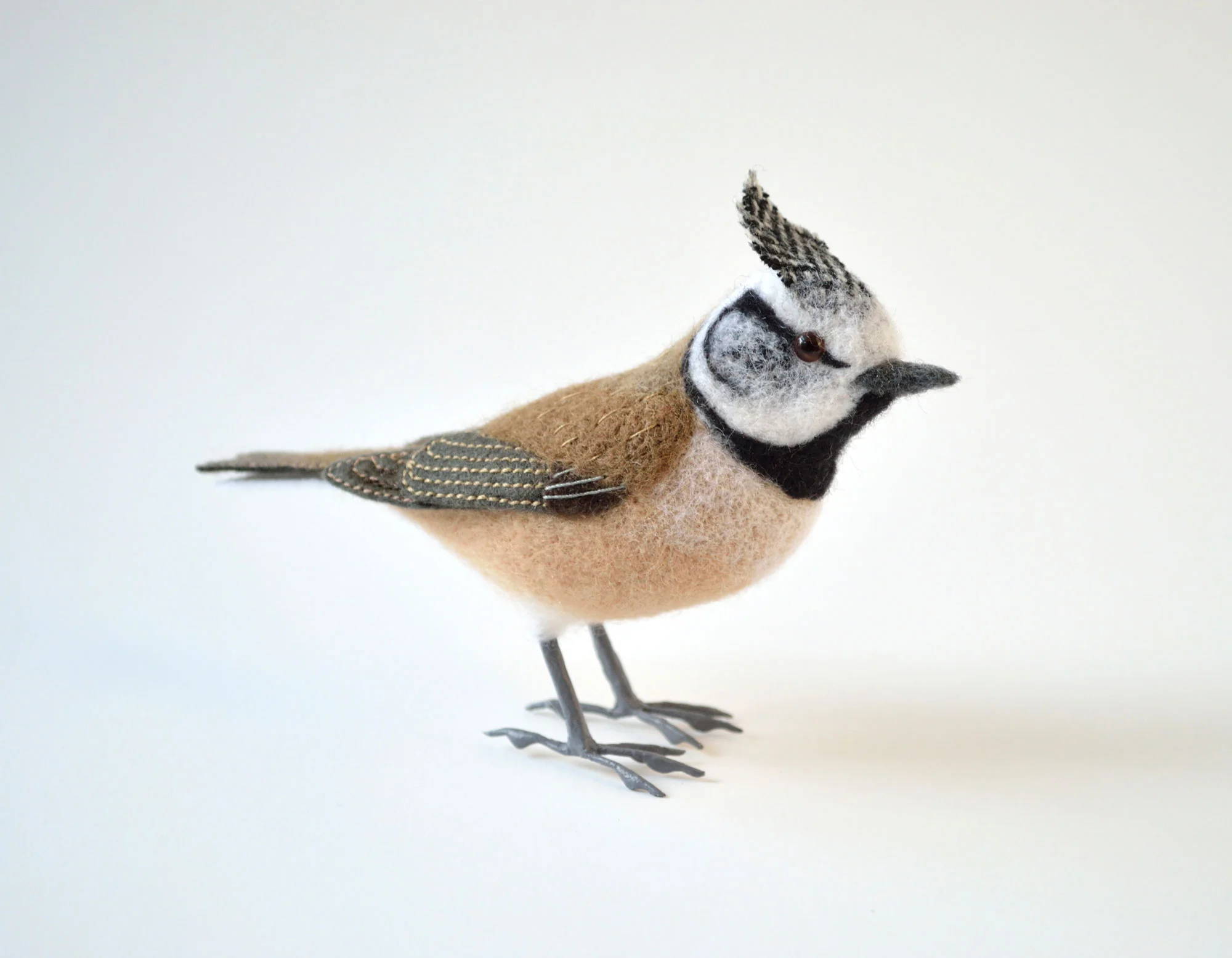 Crested Tit