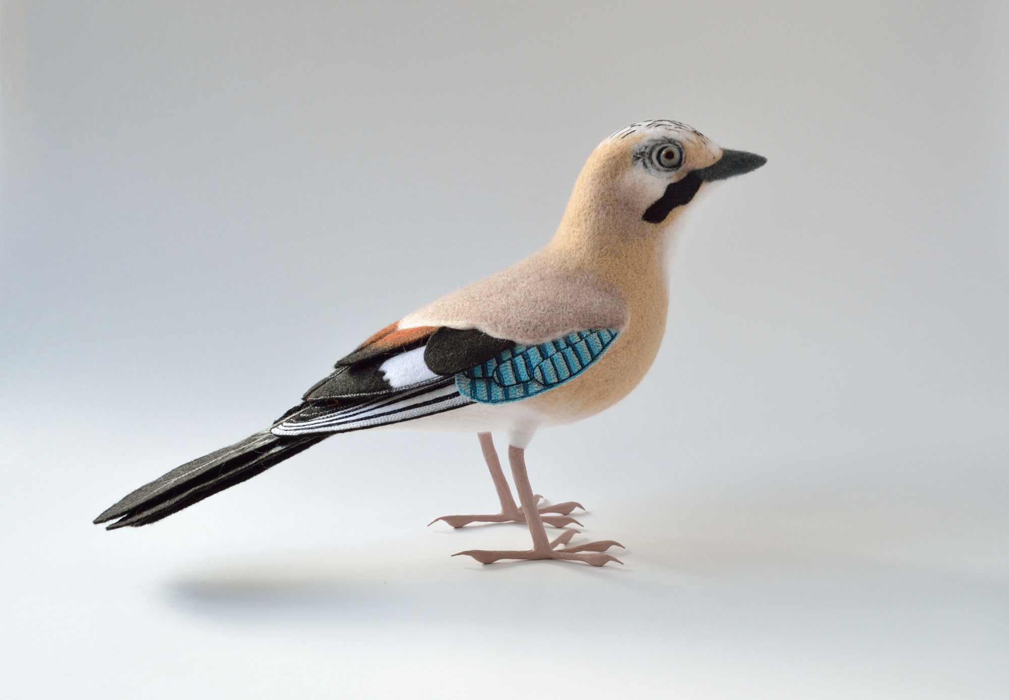 Jay