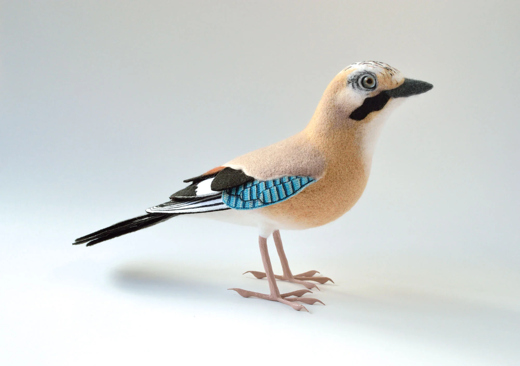 Jay