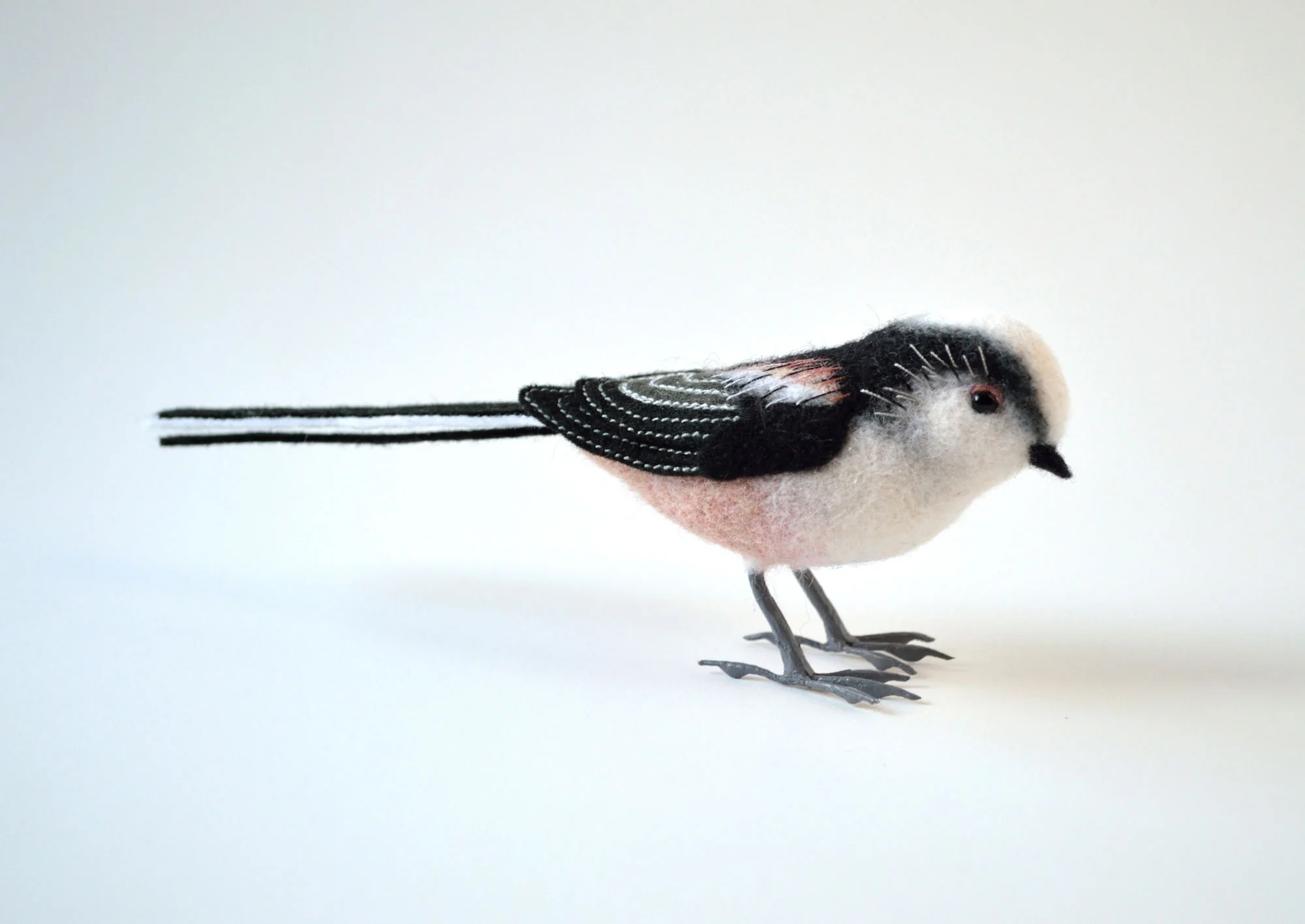 Long Tailed Tit