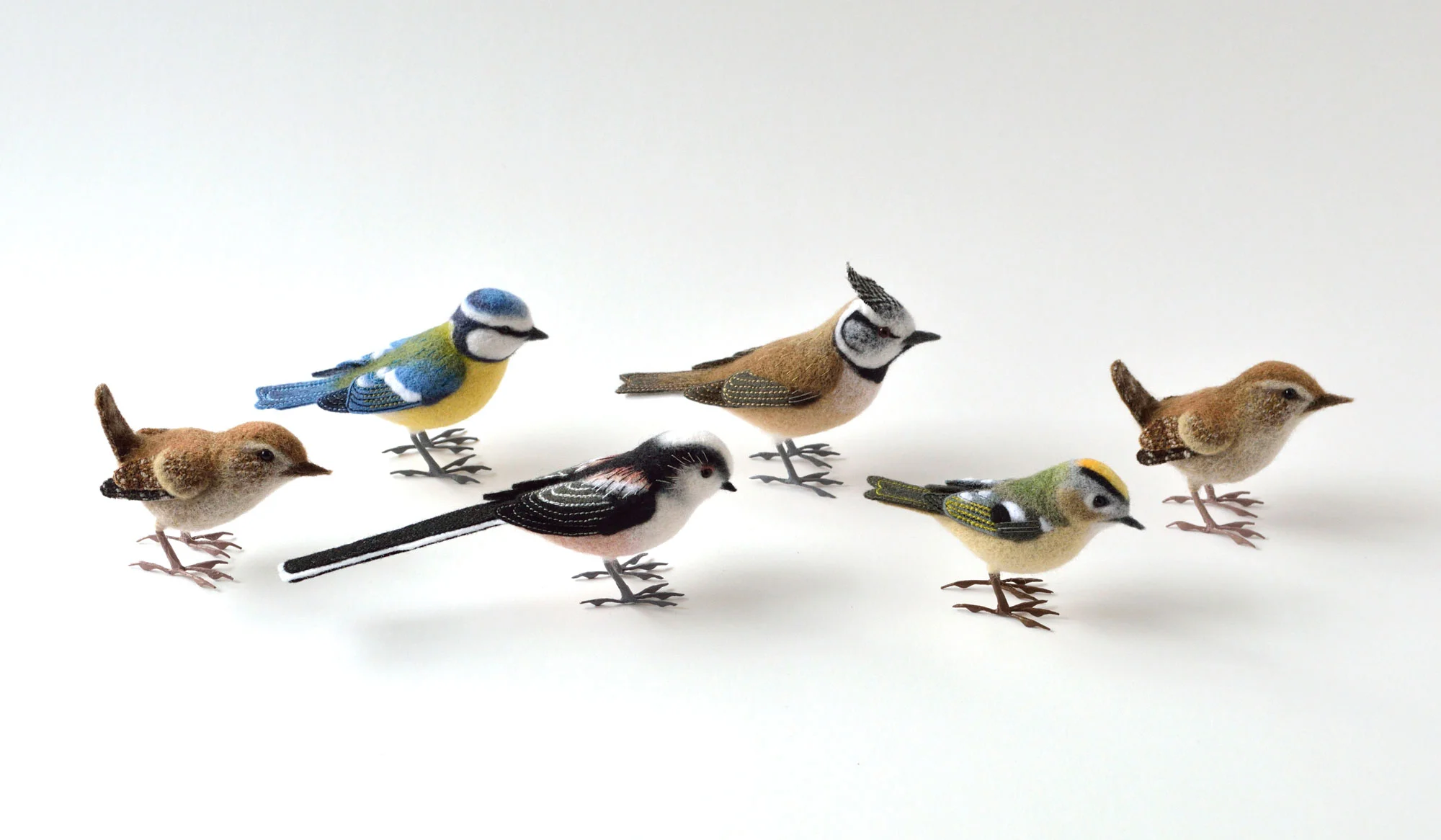 Mixed Flock
