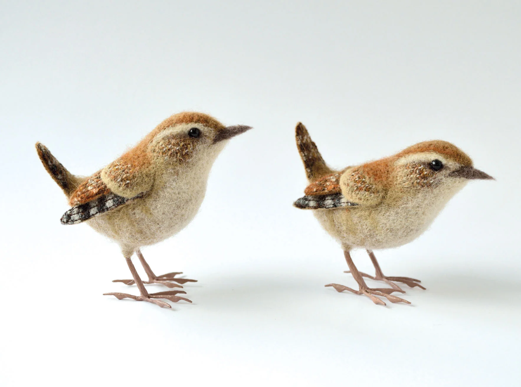 Wrens