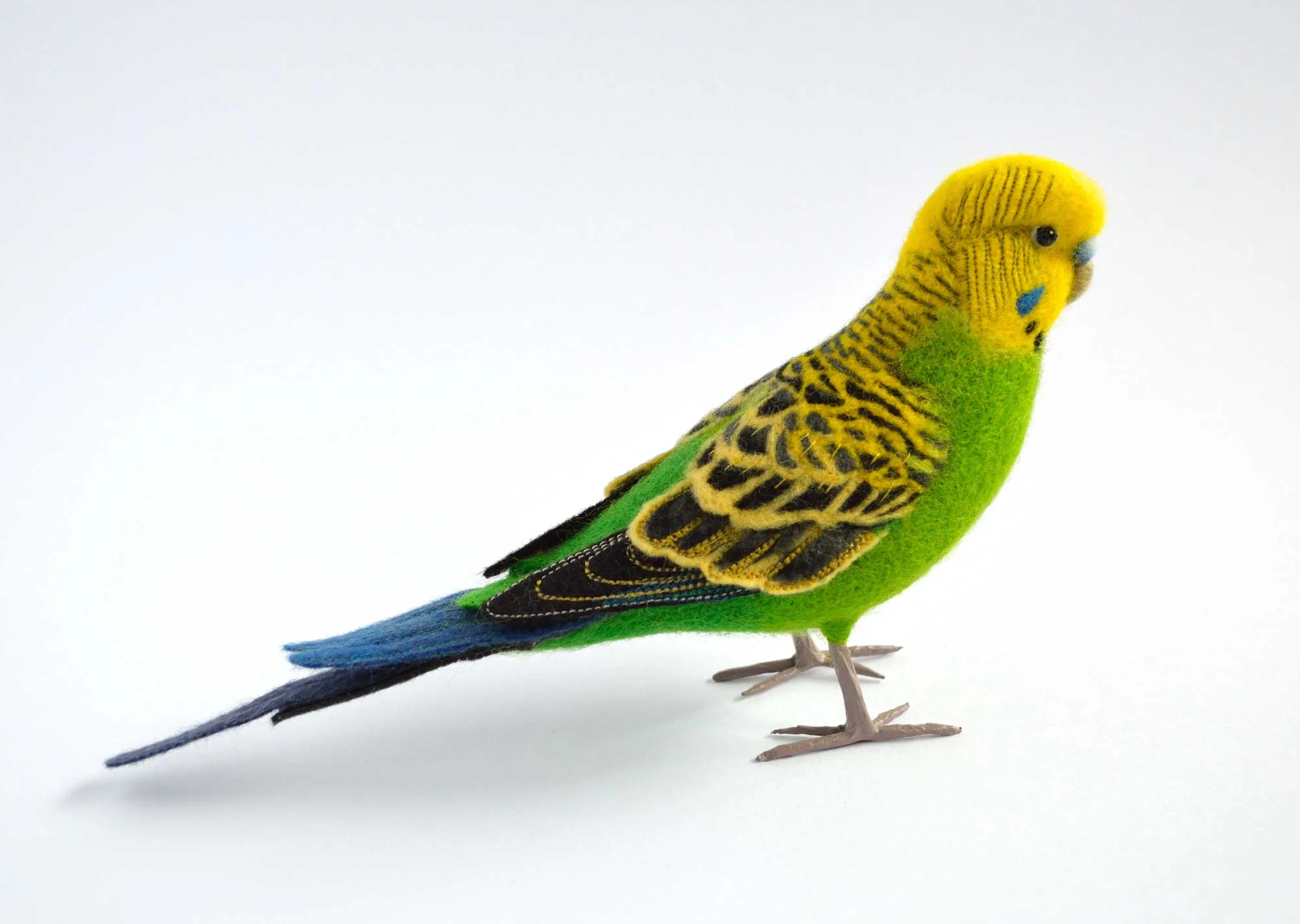 Green Budgie