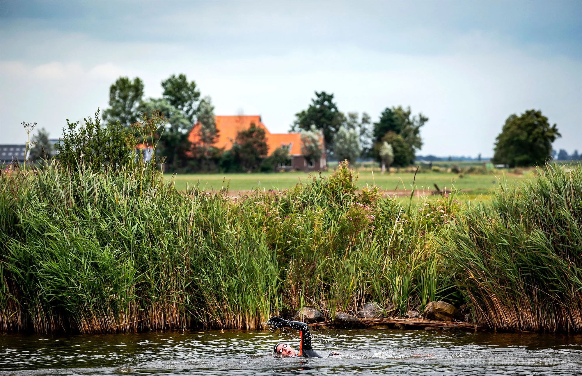 Olympisch zwemkampioen Maarten van der Weijden op de eerste dag van zijn 11stedenzwemtocht ter hoogte van Sloten.