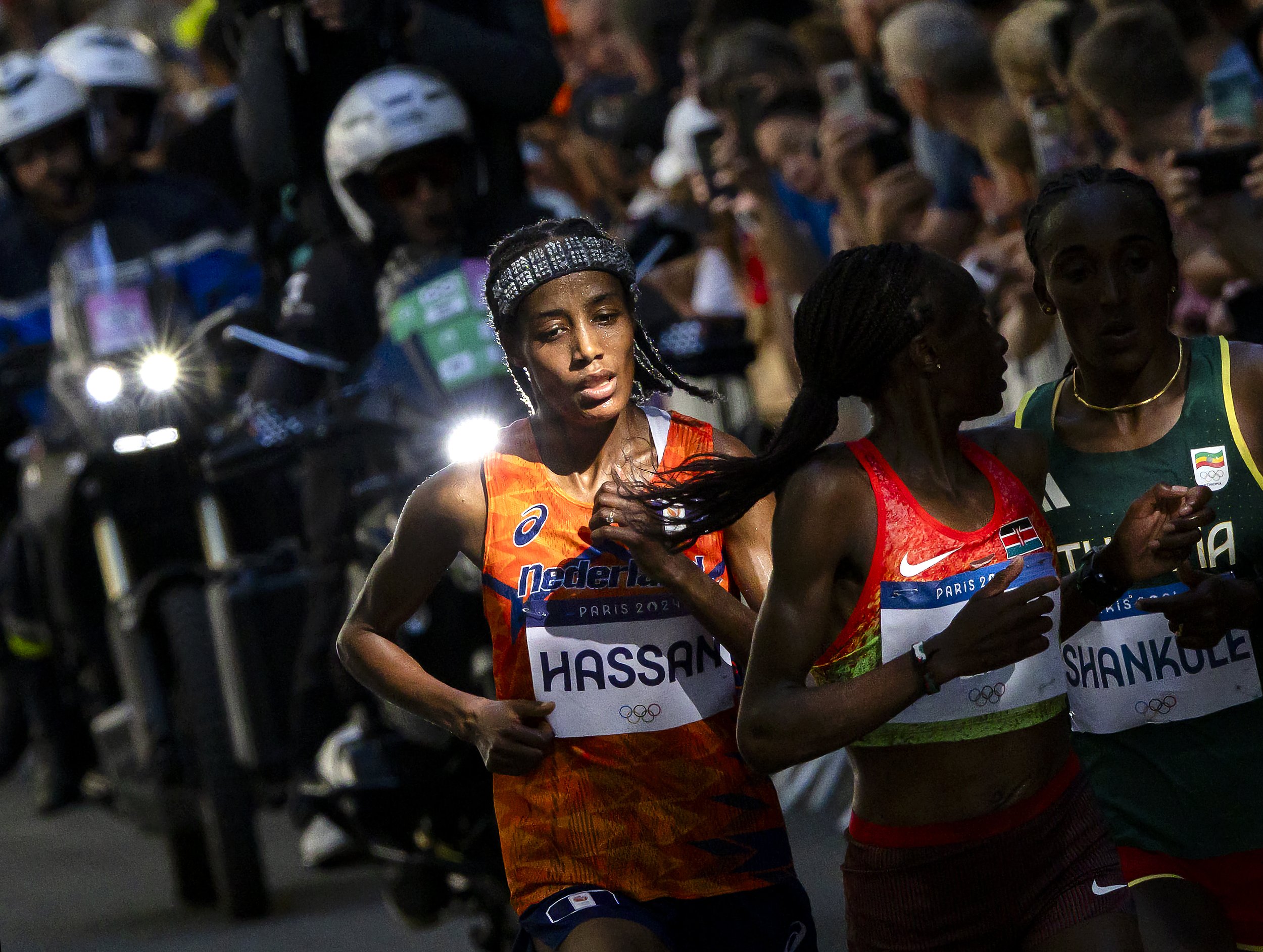 Sport (E) - Op weg naar goud - 24064.jpg